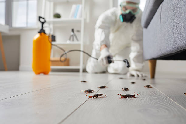 Commercial Kitchen Cockroach Control in Fox Point